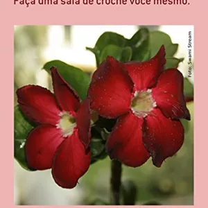 Imagem de capa para o Ebook Saia de Crochê