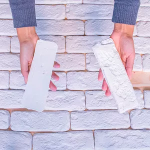 Imagem do curso Parede de Tijolinho de Gesso