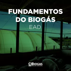 Imagem principal do produto Fundamentos do Biogás