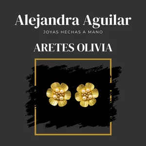 Imagen de portada para Curso online Aretes Olivia