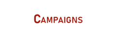 Campaigns Academy