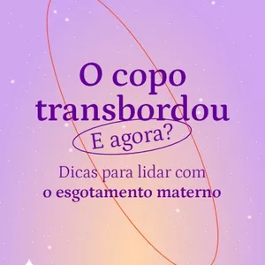 Imagem de capa para o Ebook O copo transbordou, e agora?