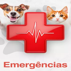Imagem de capa para o Curso online ECV - EMERGÊNCIAS CARDÍACAS VETERINÁRIAS 