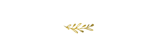 The Simplicity Habit logo