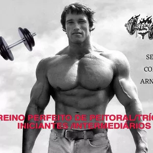 Imagem de capa para o Ebook MELHOR TREINO DE PEITORAL/TRICEPS INICIANTE/INTERMEDIÁRIO 