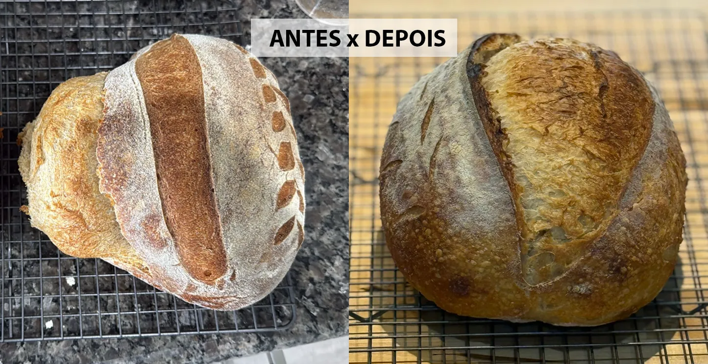 antes-depois3-pao-fermentacao-natural