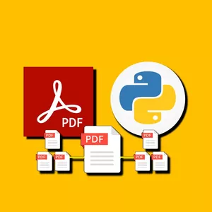 Cover image for Online course Python PDF Handling from Beginner to Winner
