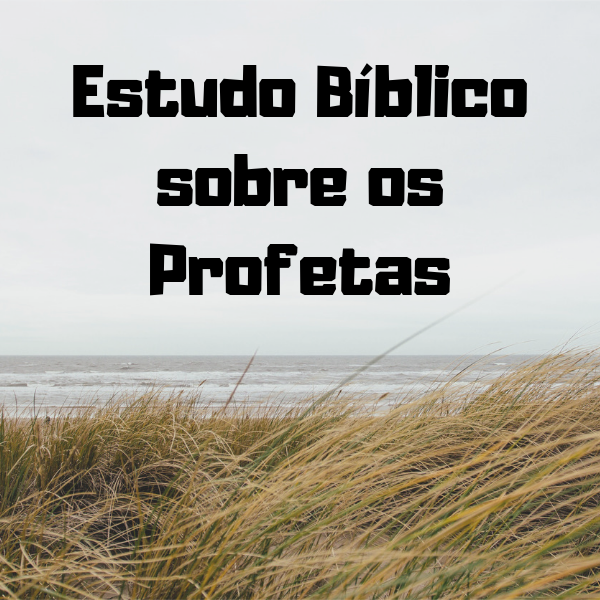 Imagem do curso Estudo Bíblico sobre os Profetas: Jeremias, Ageu, Habacuque e Amós.