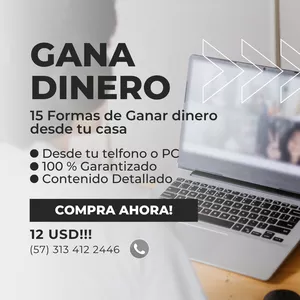Imagen de portada para Ebook 15 Formas de Ganar Dinero desde tu Casa!
