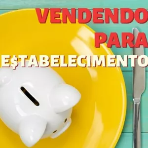 Imagem de capa para o Curso online Vendendo para estabelecimento