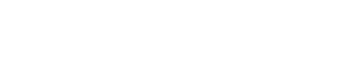 Vahur Singa logo
