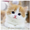 賴宏斌