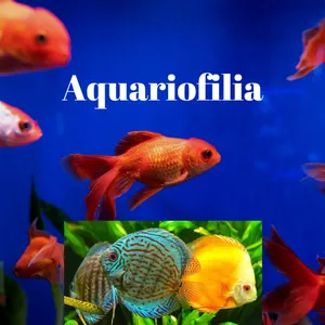 Imagem de capa para o Ebook Aquariofilia - O fantástico mundo dos aquário e peixes de água doce!