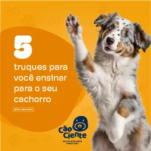 Imagem de capa para o Ebook 5 Truques para Você Ensinar para o seu Cachorro - Nível Iniciante