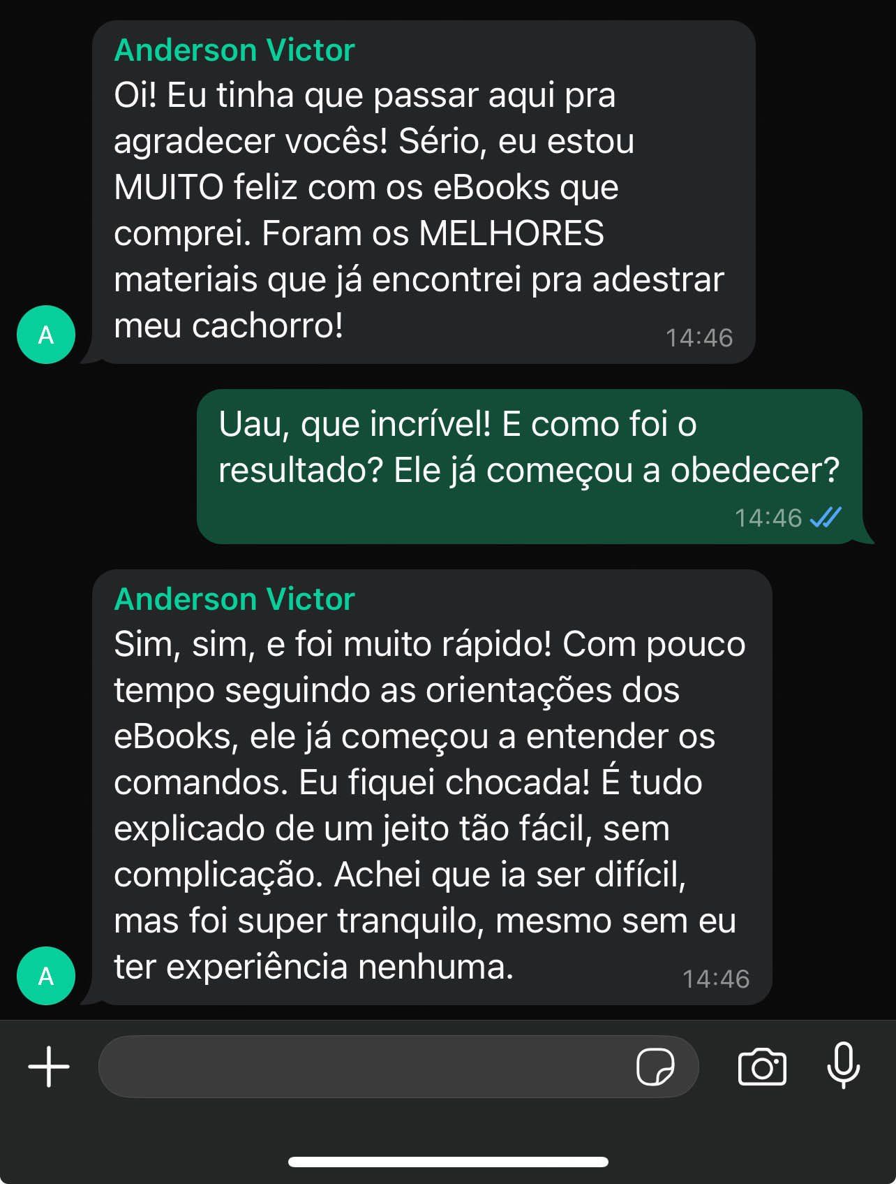 Transforme Seu Cão em Uma Máquina de Obediência: 7 eBooks Imperdíveis — imagem 4