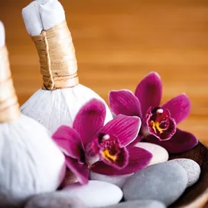 Imagen de portada para Curso online Curso de masaje Ayurveda con Pindas 