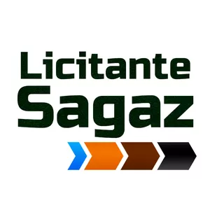Imagem de capa para o Curso online Licitante Sagaz