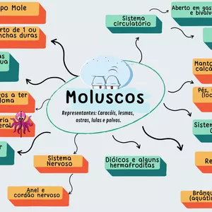 Imagem de capa para o Curso online Mapa Mental ( Características gerais dos Moluscos