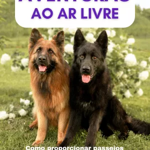 Imagem de capa para o Ebook Aventuras ao ar livre - Como proporcionar passeios saudáveis e divertidos para seu cão.