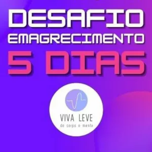 Imagem de capa para o Ebook  DESAFIO 5 DIAS PORTAL