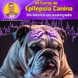 Imagem de capa para o Curso online Epilepsia Canina: do básico ao avançado