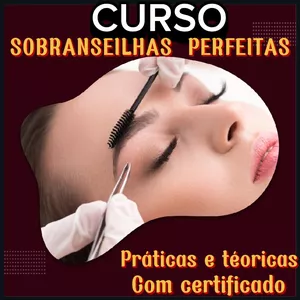 Imagem de capa para o Ebook DESAINER DE SOBRANSEILHAS 