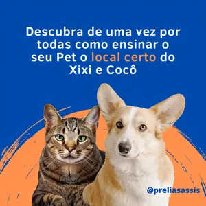 Imagem de capa para o Ebook Pet Xixi e Coco no Lugar Certo