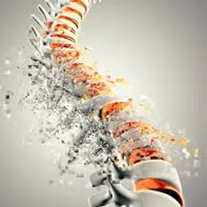 Imagen de portada para Curso online Técnica de kinesiología aplicada para la torsión dural