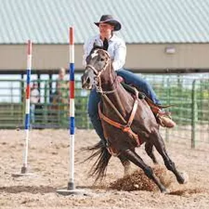 Imagem de capa para o Curso online Treinamento para Provas de Tambor e Baliza ( cavalo) com João Fernandes