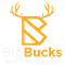 BigBuck's Digital Coach 