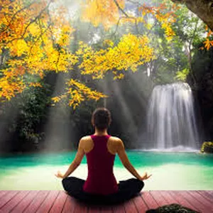 Imagen de portada para Ebook Medita y Transforma tu Vida