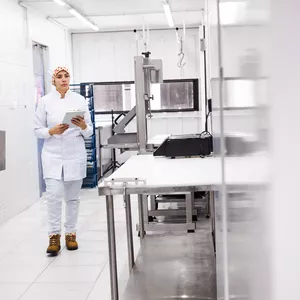 Imagem de capa para o Curso online RT &amp; Consultoria em indústria de POA