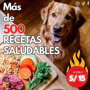 Imagen de portada para Curso online “PACK + 500 Recetas Nutritivas para tu Mascota” GUIA DEFINITIVA 🐶🐱