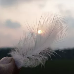 Imagem de capa para o Curso online Tarot Mãos de Luz 