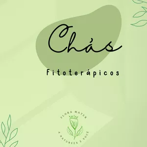 Imagem de capa para o Ebook Chás Fitoterápicos