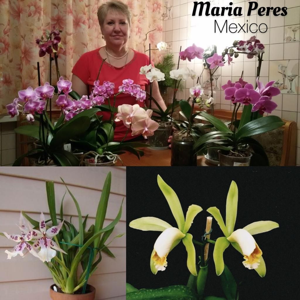 Maria Peres 
