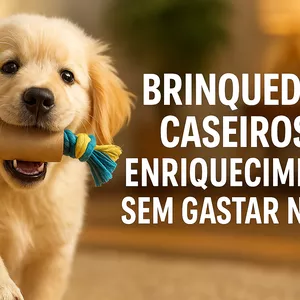 Imagen de portada para Ebook Juegos desde casa 