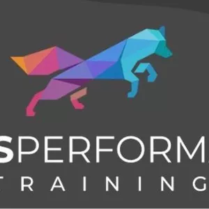 Imagem de capa para o Curso online BOXPRO