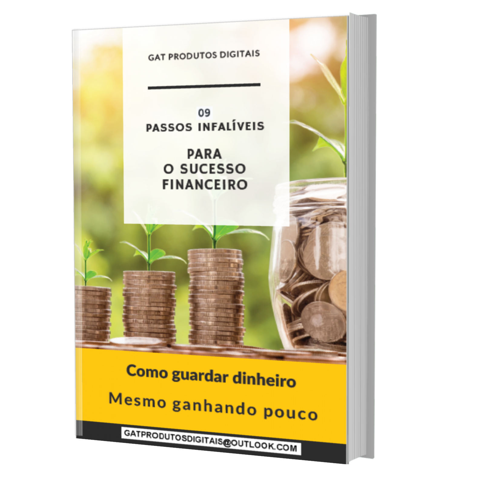 Imagem do curso  COMO POUPAR - O Guia Definitivo
