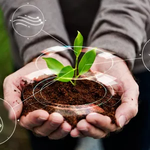 Imagem de capa para o Curso online Trilha verde - Formando consultores 