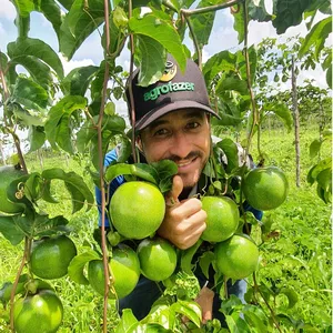 Imagem de capa para o Curso online MARACUJÁ 40T - CULTIVANDO ​MARACUJÁ DA TEORIA À PRÁTICA