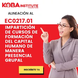 Imagen de portada para Curso online Alineación en el EC0217.01 Impartición de cursos de formación del capital humano de manera presencial grupal.