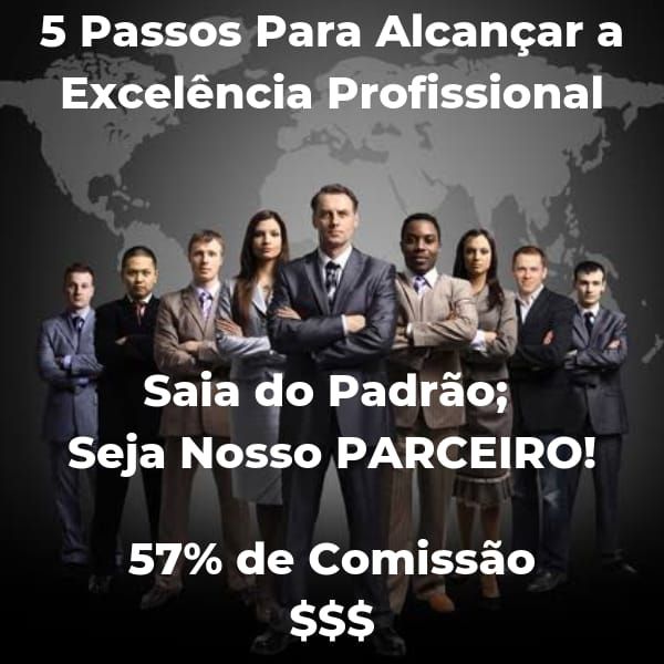 Planilha 5 Passos para Alcançar a Excelência Profissional
