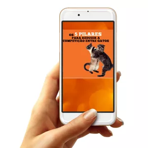 Imagem de capa para o Ebook Ebook "Os 5 Pilares para reduzir a competição entre gatos"