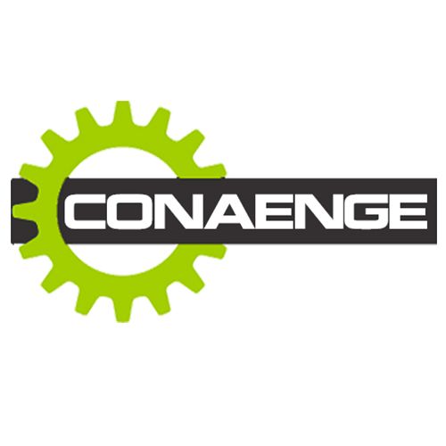 Imagem do curso Acesso VIP CONAENGE 