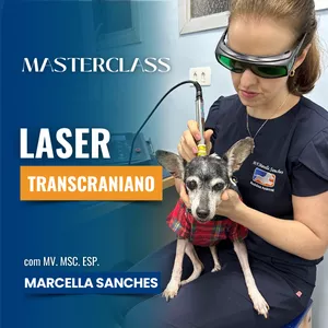 Imagem de capa para o Curso online Masterclass Laser Transcraniano | Fotobiomodulação Transcraniana | Medicina Veterinária