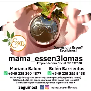 Imagen de portada para Curso online essen