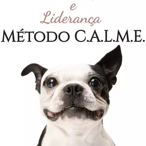 Imagem do curso Comunicação e Liderança - Método C.A.L.M.E.