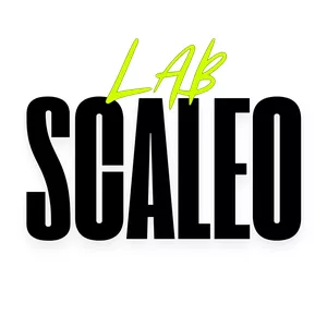 Imagen de portada para Curso online Pack Scaleo de Ventas