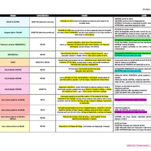 Imagem de capa para o Ebook TABELA DE NERVOS CRANIANOS